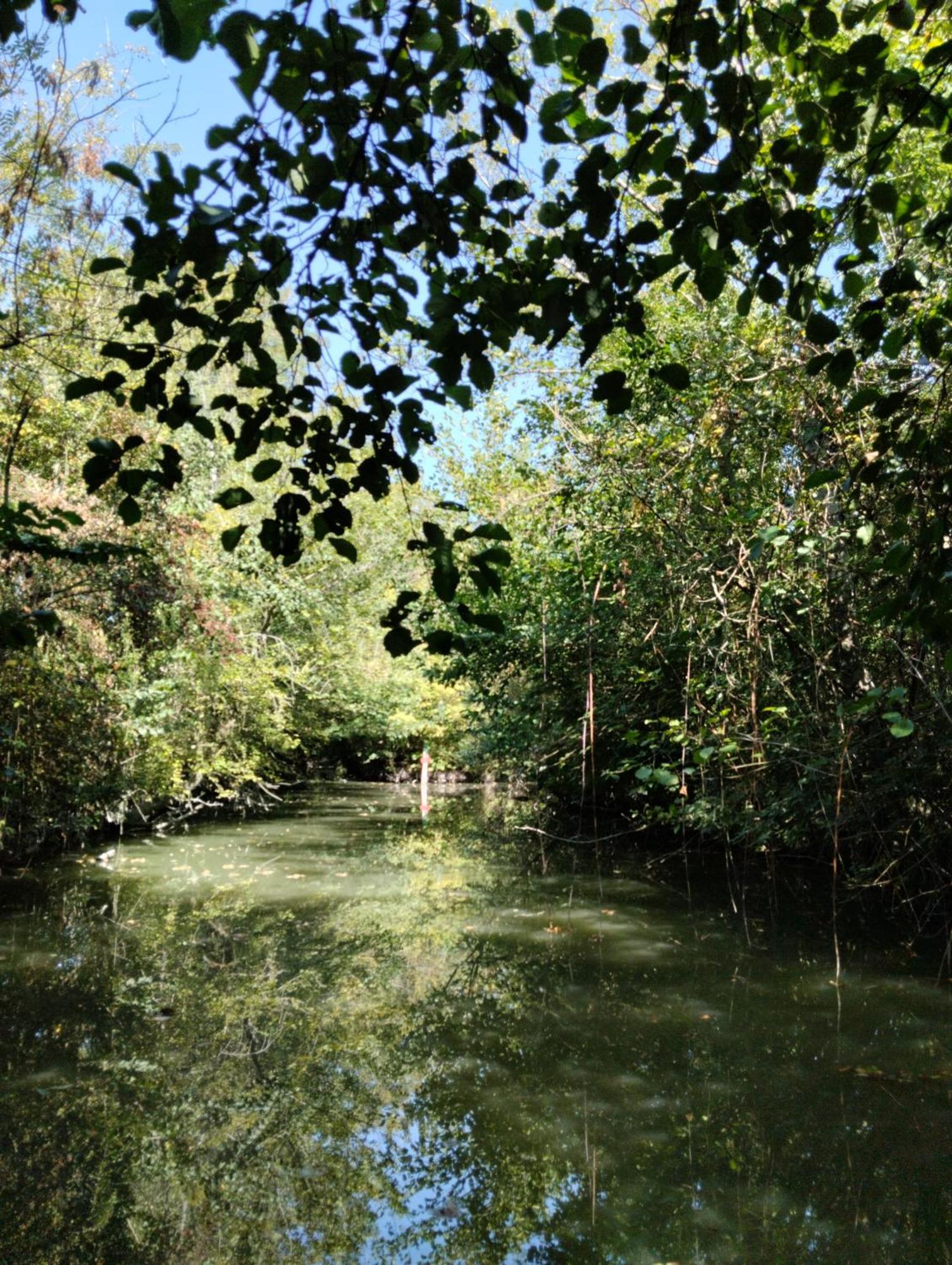 Le Petit Nid Du Marais Holiday home