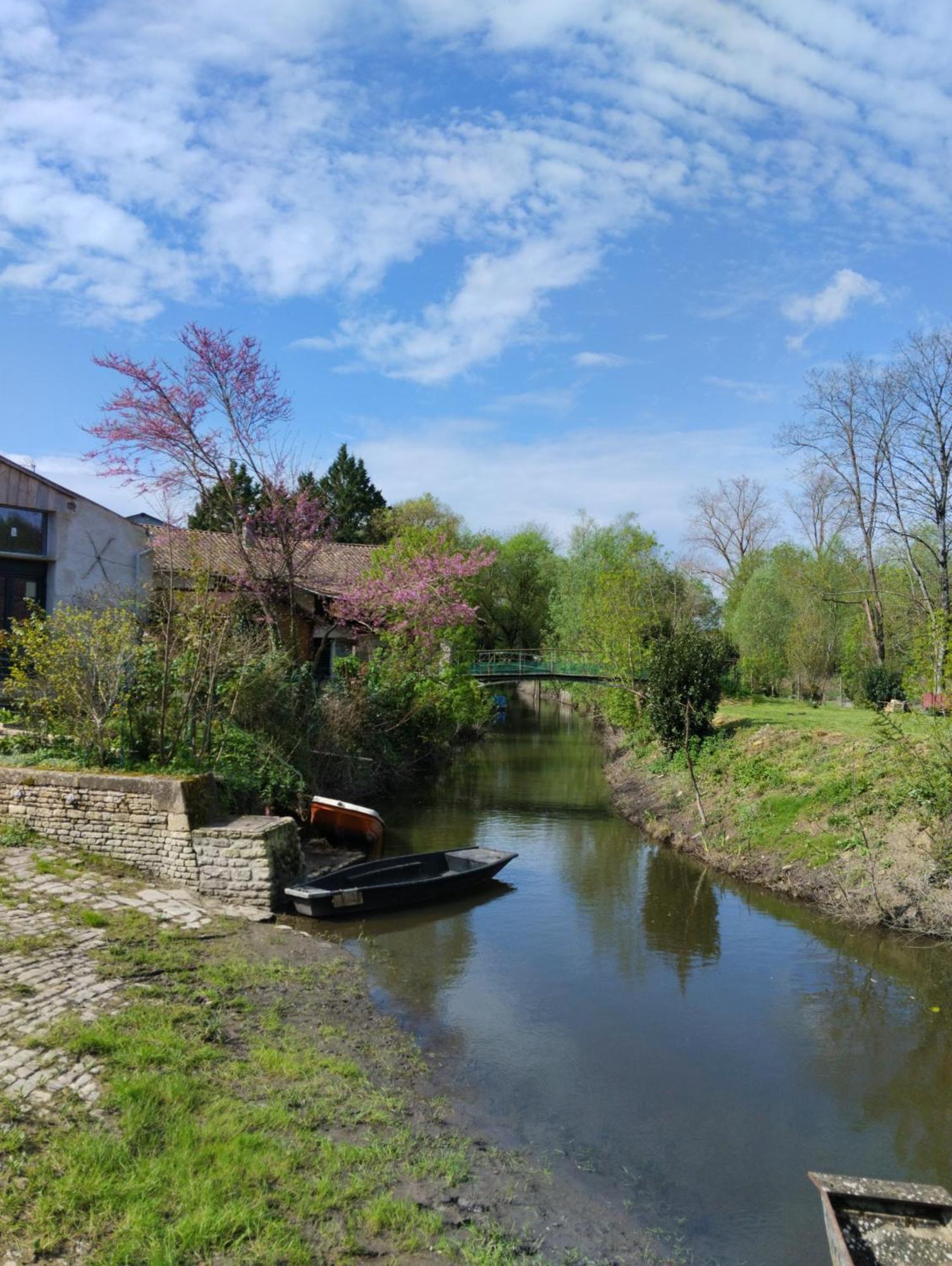 Le Petit Nid Du Marais Le Vanneau-Irleau