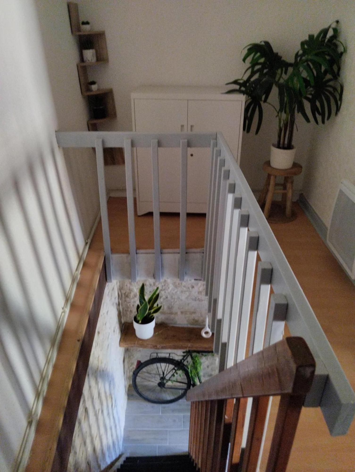 Le Petit Nid Du Marais Ferienhaus